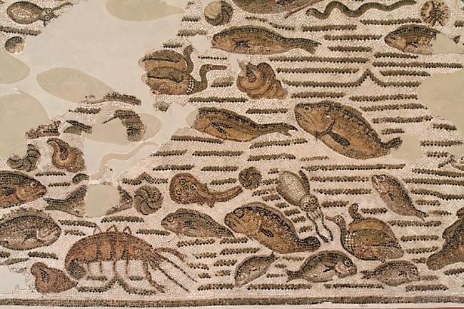 Musée du Bardo-028